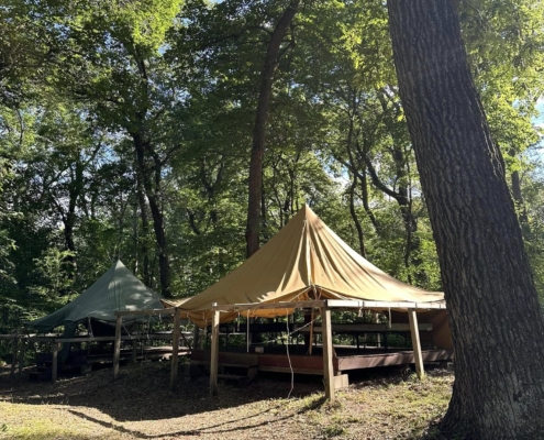 490445293_1253668576587324_7977336230417029145_n (1)